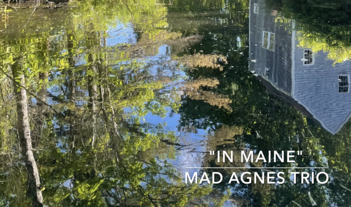 In Maine by the Mad Agnes Trio, with photography from Heather Cox Richardsons blog posting